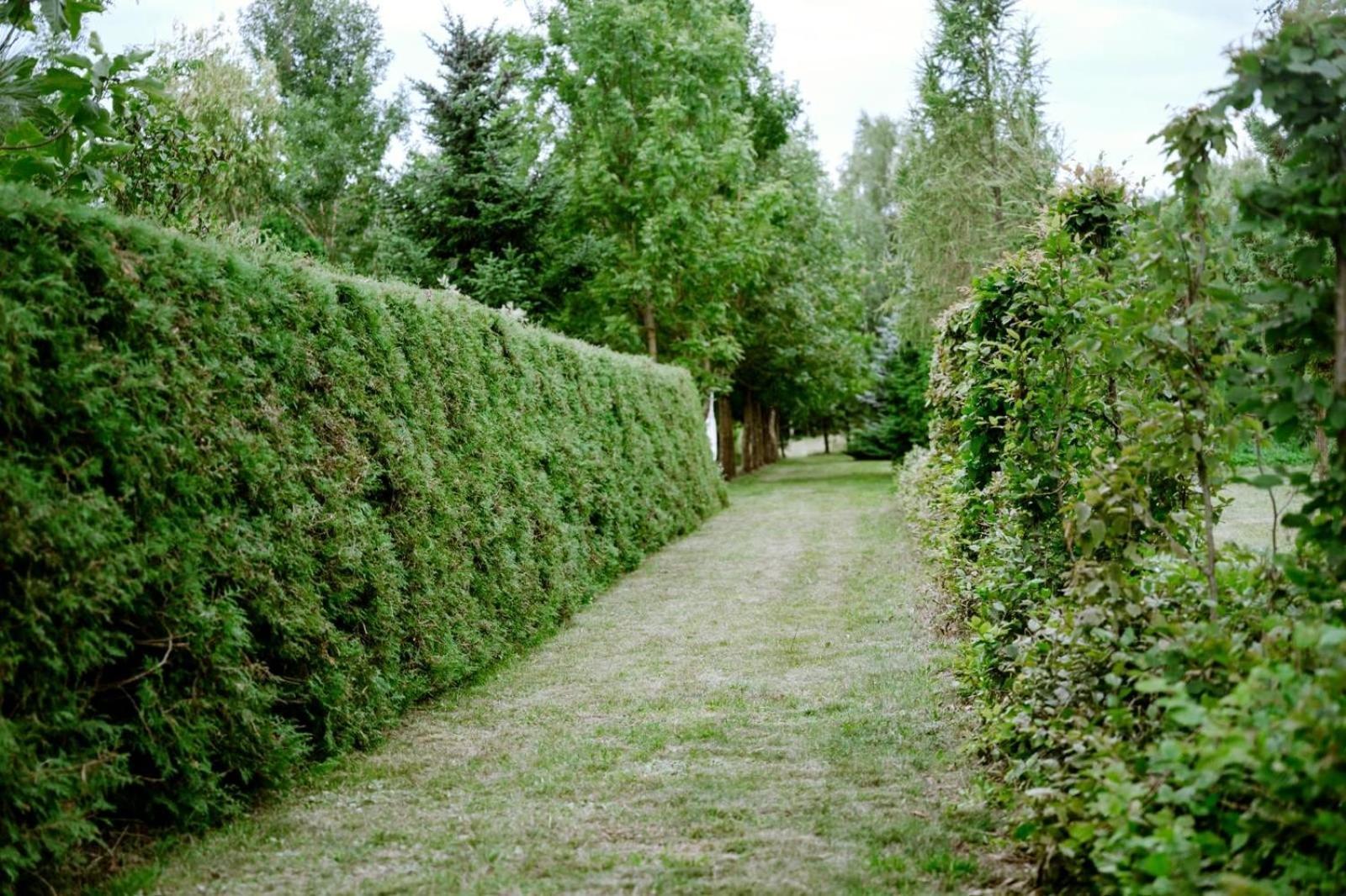 Zielona Parcela Pisz Extérieur photo